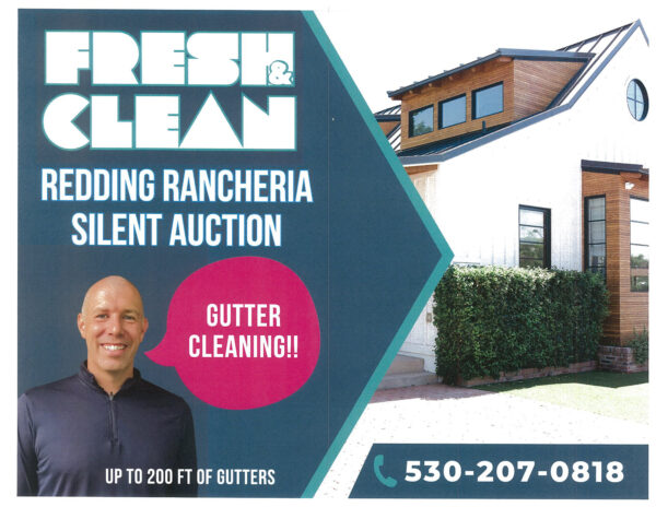 #30 Fresh & Clean Gutter Cleaning Service